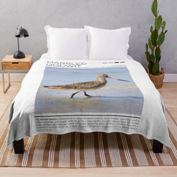 Item preview, Marbled Godwit designed and sold by StudioRedKoala.