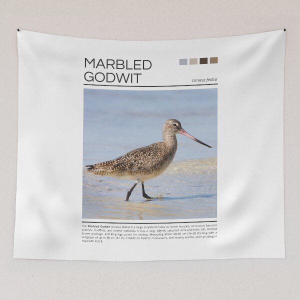 Item preview, Marbled Godwit designed and sold by StudioRedKoala.