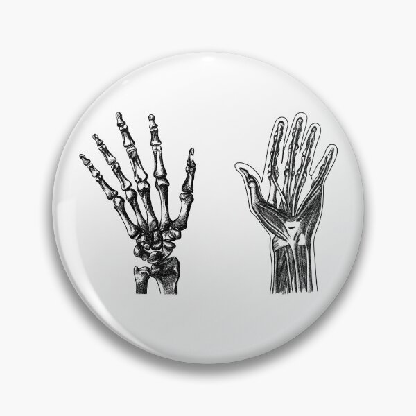 Item preview, hands anatomy designed and sold by MickeyEdwards.