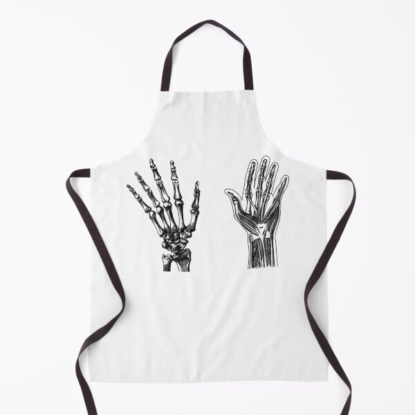 Item preview, hands anatomy designed and sold by MickeyEdwards.