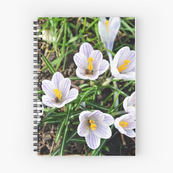 Item preview, Crocuses designed and sold by Frank  Irwin.