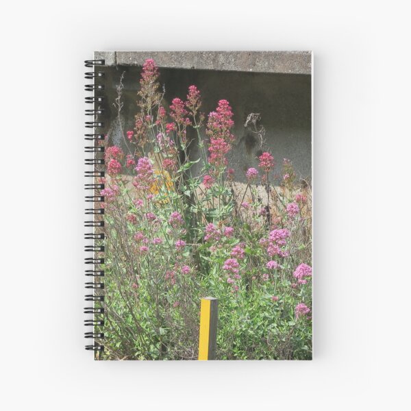 Item preview, Flowers at Bishopstone Station, East Sussex designed and sold by mindwarp2000.