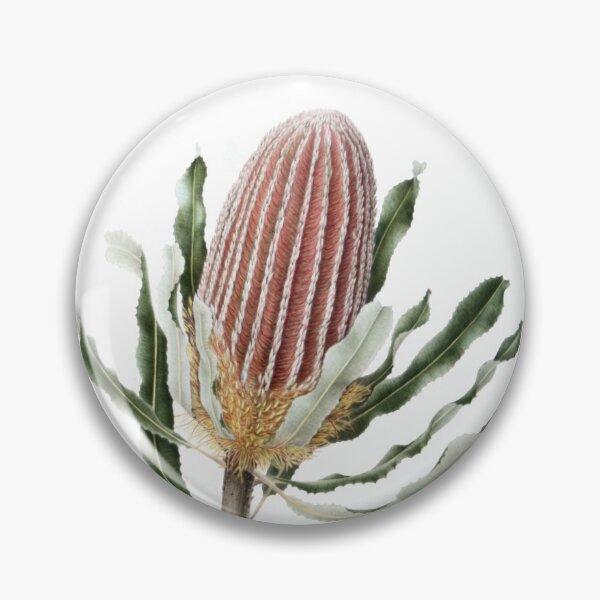 Item preview, Banksia menziesii - Firewood Banksia designed and sold by Cheryl Hodges.