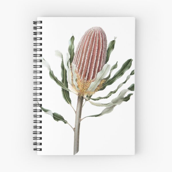Item preview, Banksia menziesii - Firewood Banksia designed and sold by Cheryl Hodges.