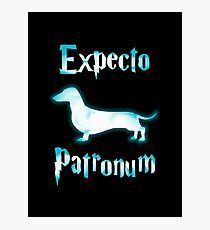 Expecto patronum dog. Photographic Print
