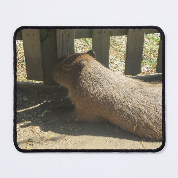 Item preview, Capybara designed and sold by GooglyEyes-.