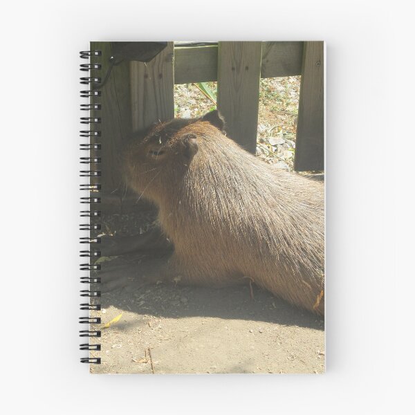Item preview, Capybara designed and sold by GooglyEyes-.