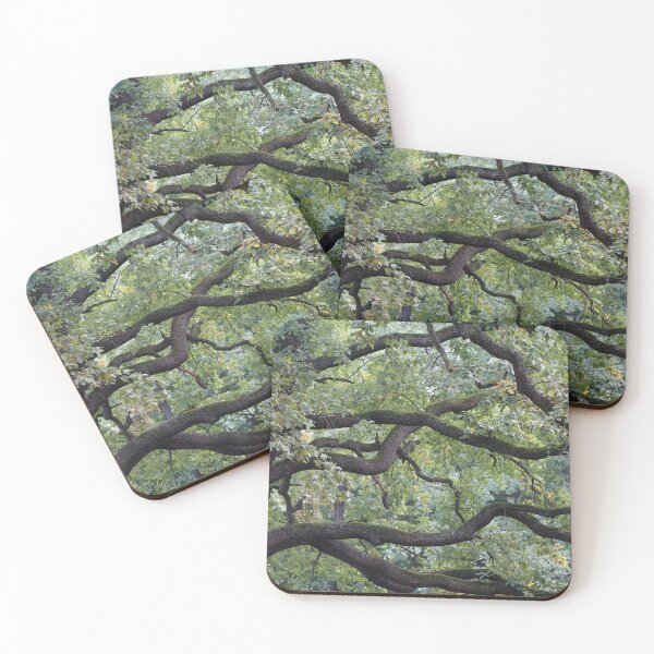 Item preview, Oak Tree Branches designed and sold by Olesia Moroz.