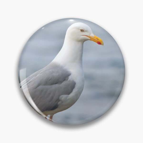 Item preview, Herring Gull Larus-argentatus Perched on a Rock designed and sold by Dorset Girl.