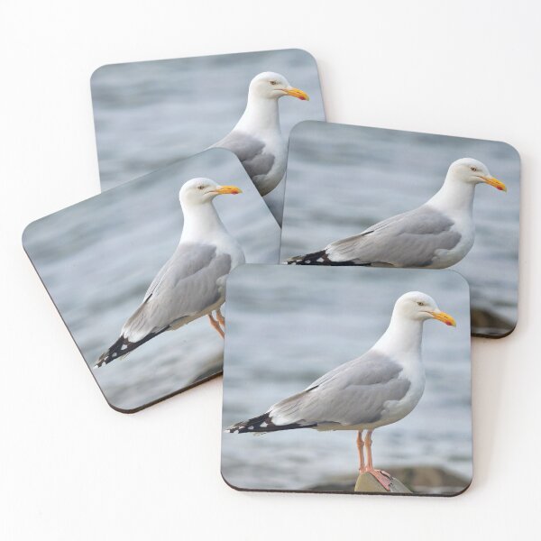 Item preview, Herring Gull Larus-argentatus Perched on a Rock designed and sold by Dorset Girl.