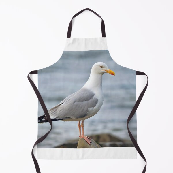 Item preview, Herring Gull Larus-argentatus Perched on a Rock designed and sold by Dorset Girl.