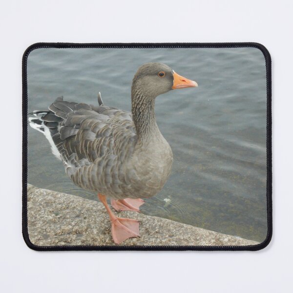 Item preview, Goose designed and sold by GooglyEyes-.