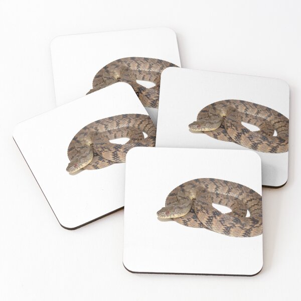Item preview, Diamondback Watersnake (Nerodia rhombifer) designed and sold by wjneely.