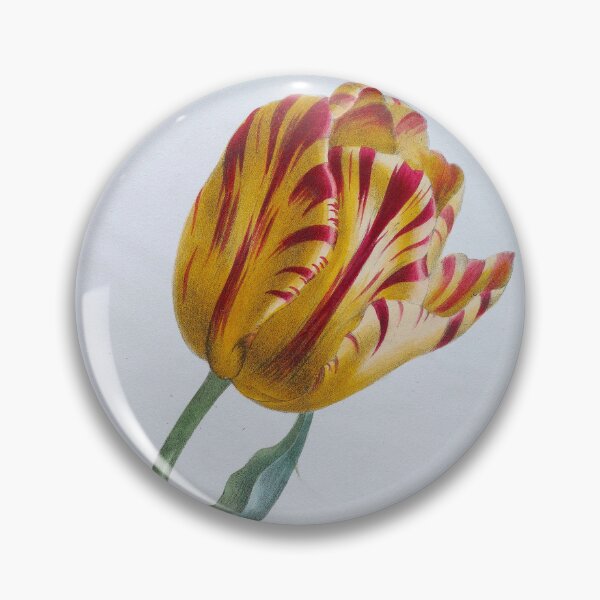 Item preview, Tulip (1822) designed and sold by 19th Century in Color.