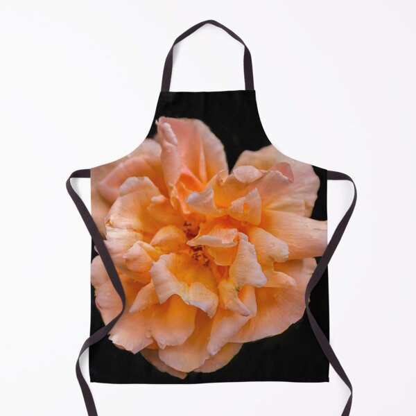 Item preview, Big colorful rose designed and sold by Photopat.