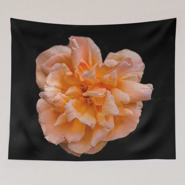 Item preview, Big colorful rose designed and sold by Photopat.