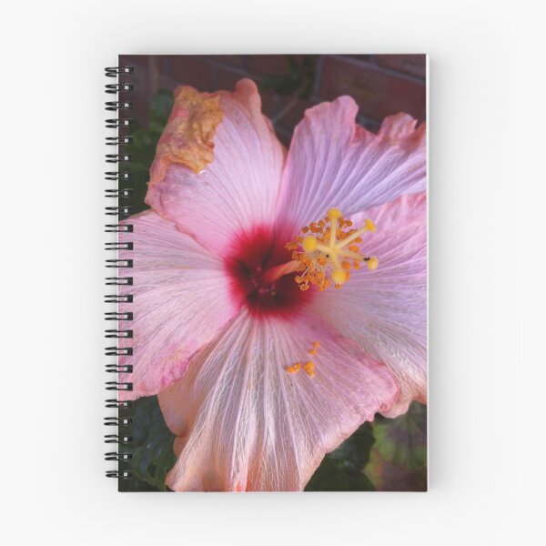 Aperçu de l'œuvre PAS HIBISCUS PARFAIT créée et vendue par Freshstar1.