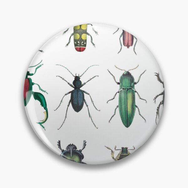 Item preview, buggies designed and sold by Muycote.