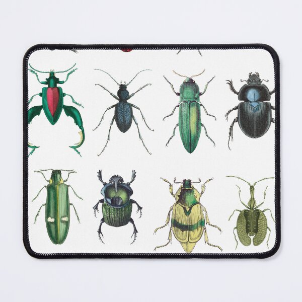 Item preview, buggies designed and sold by Muycote.