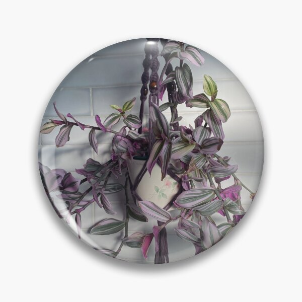 Item preview, Macrame Plant Hanger with Tradescantia designed and sold by Kate Anderson Art.