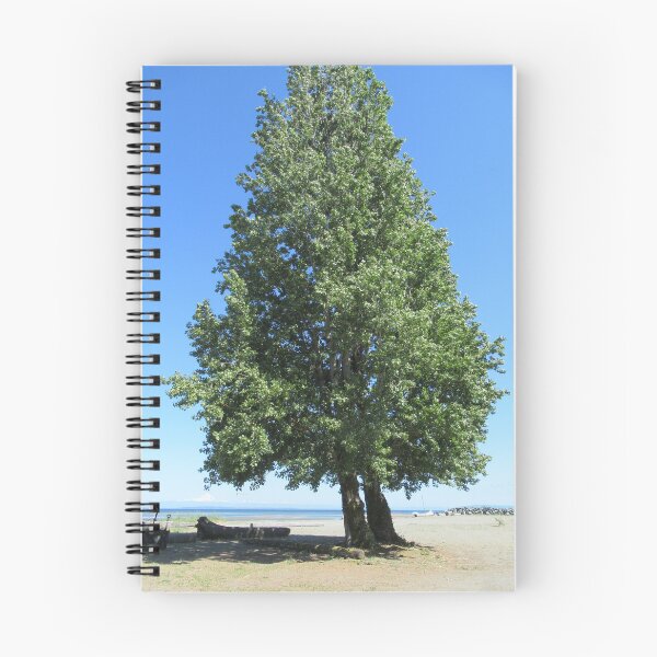 Item preview, Beach Trees - Ladnor, BC designed and sold by lezvee.