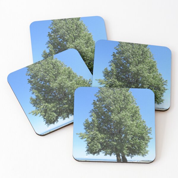 Item preview, Beach Trees - Ladnor, BC designed and sold by lezvee.
