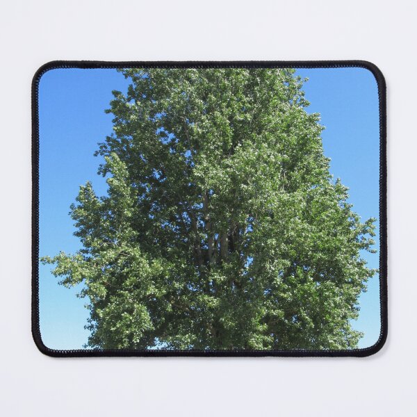 Item preview, Beach Trees - Ladnor, BC designed and sold by lezvee.