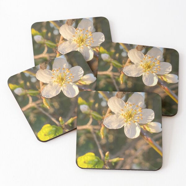 Item preview, Apple Blossom, Deene Park, Brudenell Estates designed and sold by Kate Anderson Art.