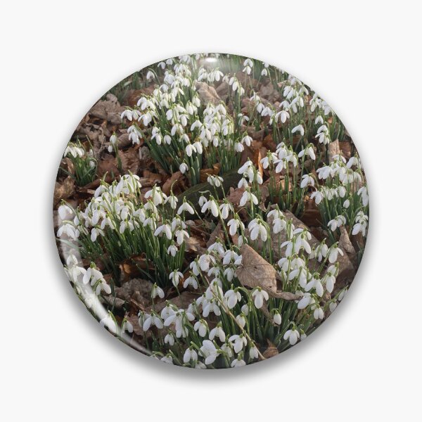 Item preview, Snowdrops at Deene Park, Brudenell Estate, Northamptonshire, UK designed and sold by Kate Anderson Art.