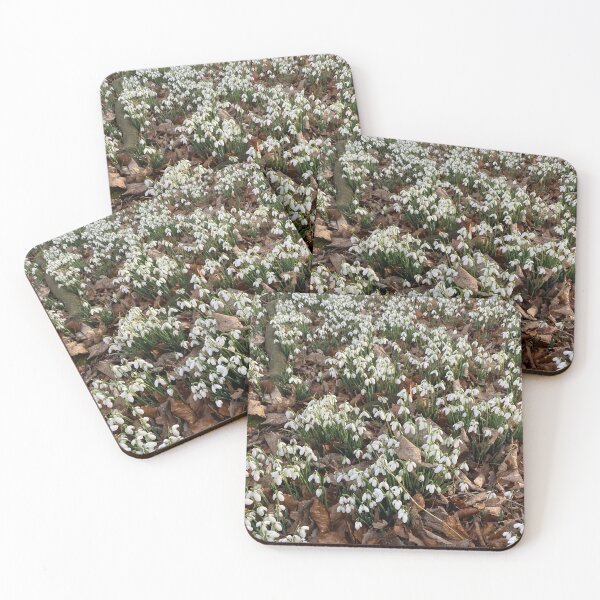 Item preview, Snowdrops at Deene Park, Brudenell Estate, Northamptonshire, UK designed and sold by Kate Anderson Art.