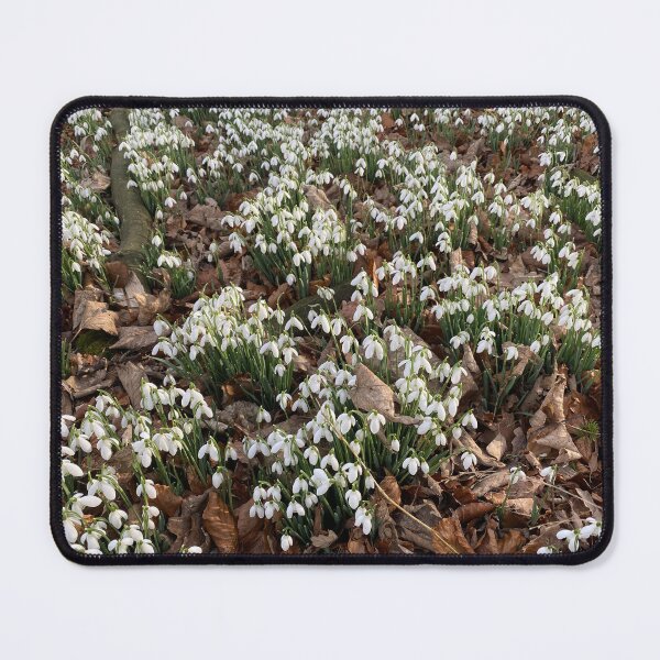Item preview, Snowdrops at Deene Park, Brudenell Estate, Northamptonshire, UK designed and sold by Kate Anderson Art.