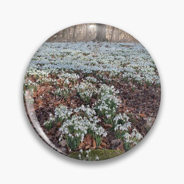 Item preview, Snowdrops at Deene Park, Brudenell Estate, Northamptonshire, UK designed and sold by Kate Anderson Art.