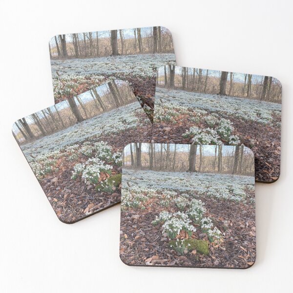 Item preview, Snowdrops at Deene Park, Brudenell Estate, Northamptonshire, UK designed and sold by Kate Anderson Art.
