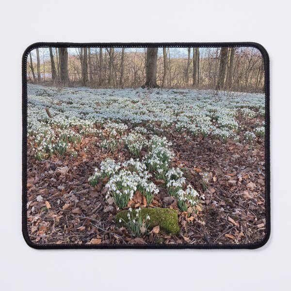 Item preview, Snowdrops at Deene Park, Brudenell Estate, Northamptonshire, UK designed and sold by Kate Anderson Art.