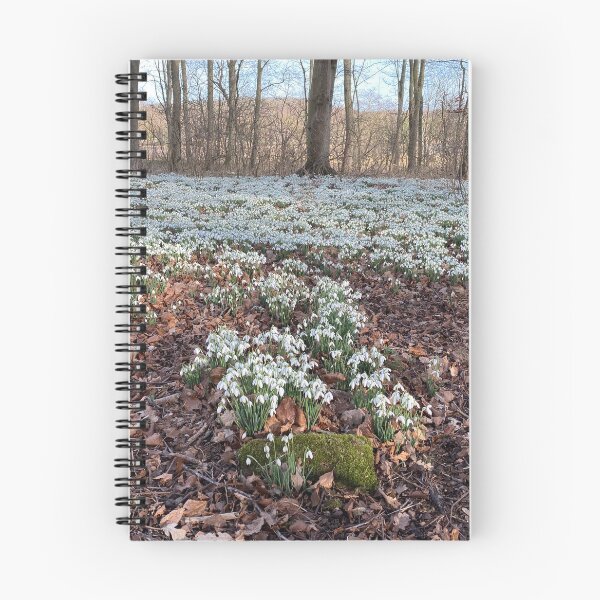 Item preview, Snowdrops at Deene Park, Brudenell Estate, Northamptonshire, UK designed and sold by Kate Anderson Art.
