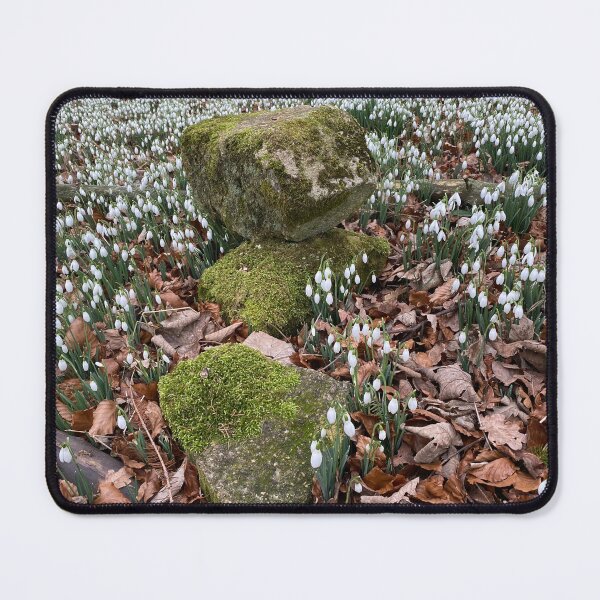 Item preview, Snowdrops at Deene Park, Brudenell Estate, Northamptonshire, UK designed and sold by Kate Anderson Art.