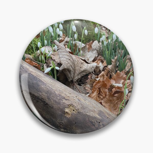 Item preview, Snowdrops at Deene Park, Brudenell Estate, Northamptonshire, UK designed and sold by Kate Anderson Art.