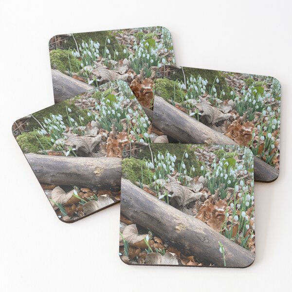 Item preview, Snowdrops at Deene Park, Brudenell Estate, Northamptonshire, UK designed and sold by Kate Anderson Art.