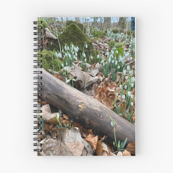 Item preview, Snowdrops at Deene Park, Brudenell Estate, Northamptonshire, UK designed and sold by Kate Anderson Art.