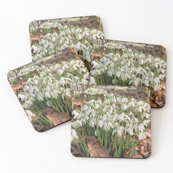 Item preview, Snowdrops at Deene Park, Brudenell Estate, Northamptonshire, UK designed and sold by Kate Anderson Art.