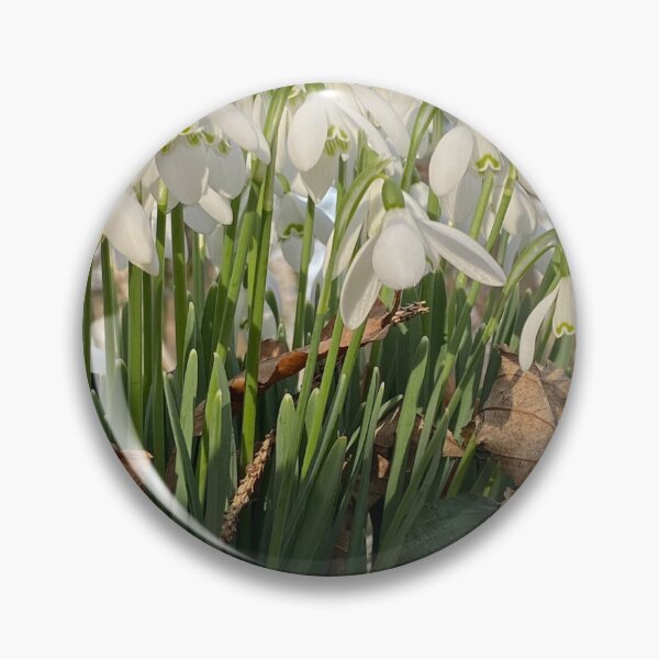 Item preview, Snowdrops at Deene Park, Brudenell Estate, Northamptonshire, UK designed and sold by Kate Anderson Art.