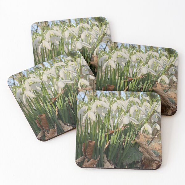 Item preview, Snowdrops at Deene Park, Brudenell Estate, Northamptonshire, UK designed and sold by Kate Anderson Art.