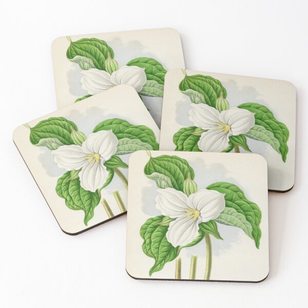 Item preview, Vintage Trillium Grandiflorum Plant Print designed and sold by Bruiserstang.