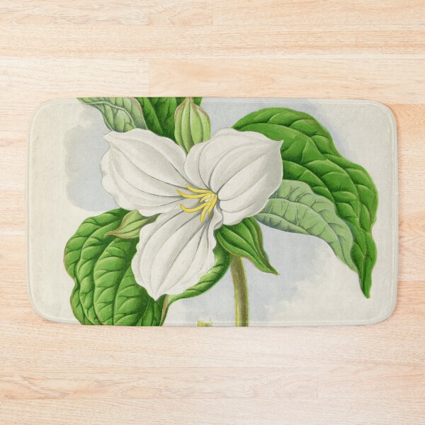 Item preview, Vintage Trillium Grandiflorum Plant Print designed and sold by Bruiserstang.