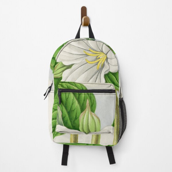 Item preview, Vintage Trillium Grandiflorum Plant Print designed and sold by Bruiserstang.