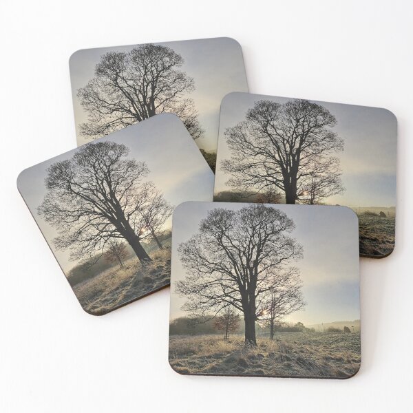 Item preview, Northumberland Tree in winter. designed and sold by Maddy Bennett.