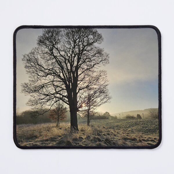 Item preview, Northumberland Tree in winter. designed and sold by Maddy Bennett.
