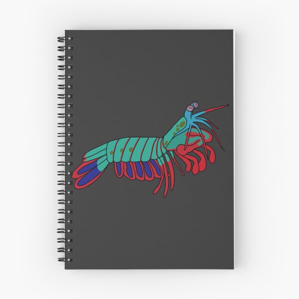 Item preview, Peacock Mantis Shrimp designed and sold by Leapingdoe.
