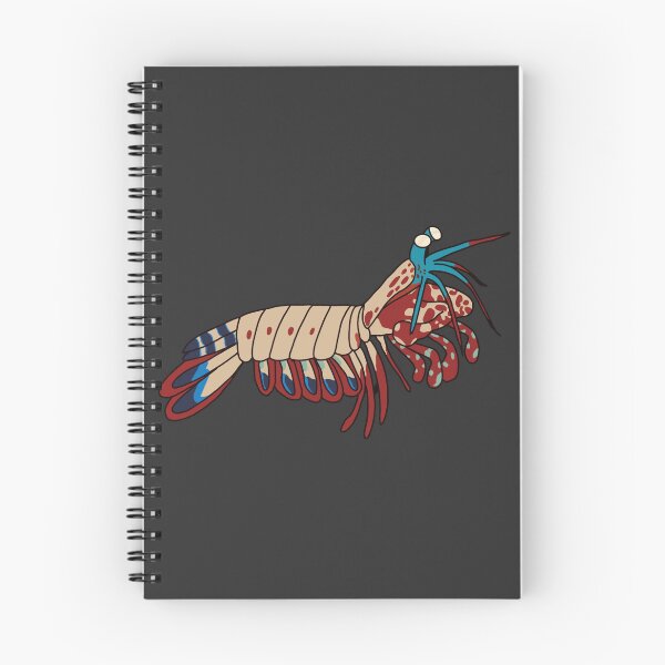 Item preview, Mantis Shrimp designed and sold by Leapingdoe.