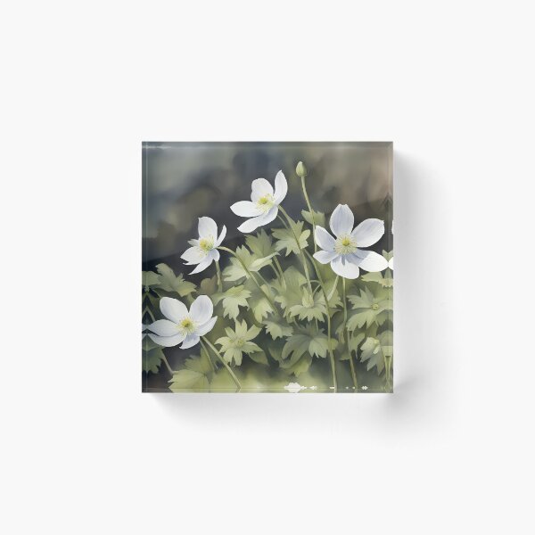 Item preview, Wood Anemones designed and sold by BookCovered.
